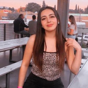 Brandy Melville Crop Top